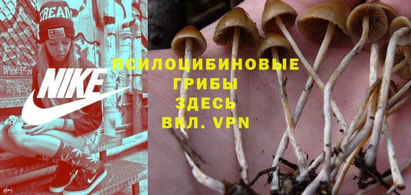 хмурый Слюдянка