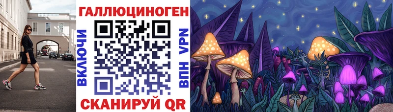 Псилоцибиновые грибы Cubensis  Плавск 